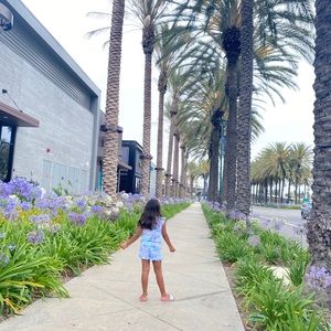 Meet your Posher, Iris